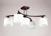 Люстра Wink A1506/5