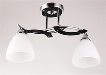 Люстра Wink N0753/2