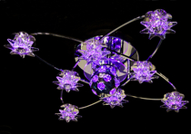 Люстра MyLight 8039/8+2 CR