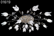 Люстра MyLignt 016/19